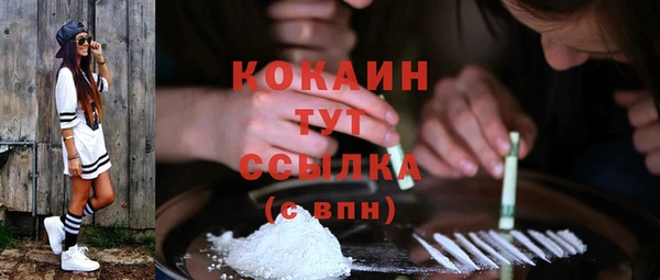 дмт Белокуриха