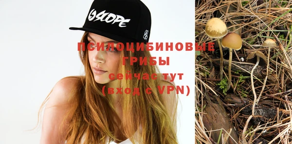 дмт Белокуриха