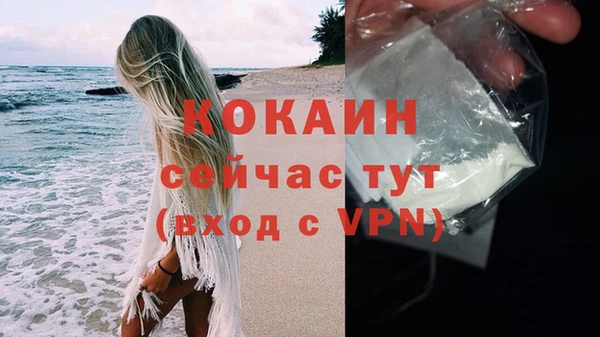 дмт Белокуриха