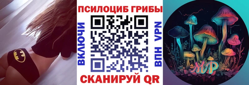 Псилоцибиновые грибы Psilocybe  Цивильск 